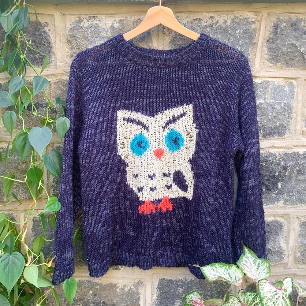 Urban Outfitters Cozy Owl Graphic Sweater - Picture 1 of 7